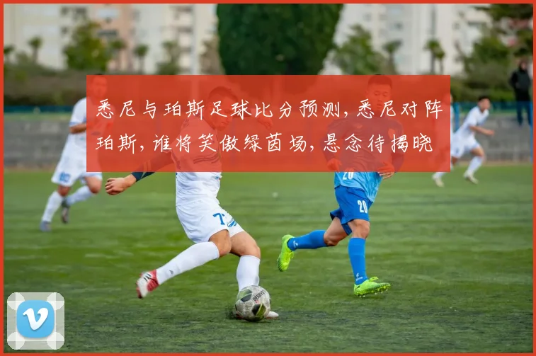 悉尼与珀斯足球比分预测,悉尼对阵珀斯,谁将笑傲绿茵场,悬念待揭晓,一触即发