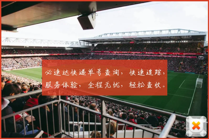 必速达快递单号查询，快速追踪，服务体验，全程无忧，轻松查收。
