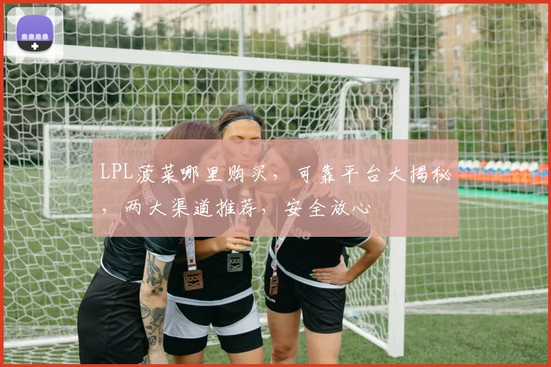 LPL菠菜哪里购买，可靠平台大揭秘，两大渠道推荐，安全放心